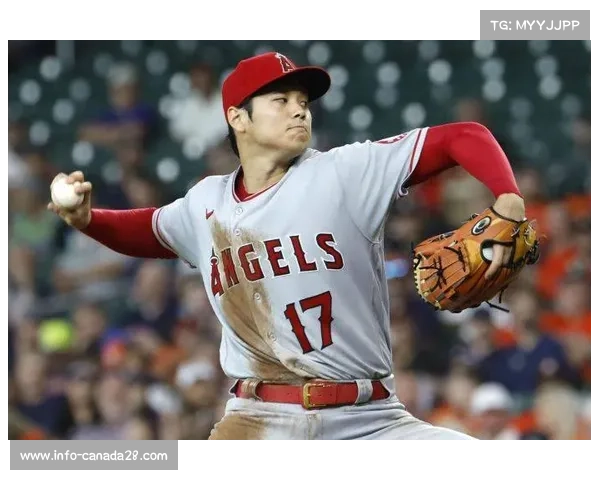 大谷翔平破纪录之夜球棒公益拍卖成交价突破百万创历史新高 大谷翔平破纪录之夜球棒公益拍卖成交价突破百万创历史新高